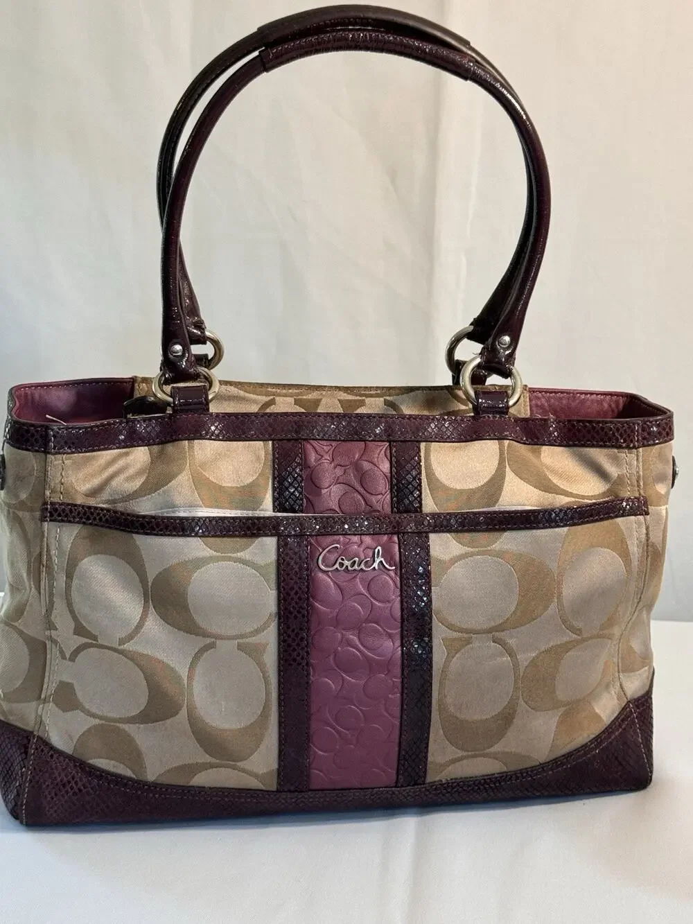 Coach Park Signature Carry All F20353 (2012) Rare Restored And Ready For Fall